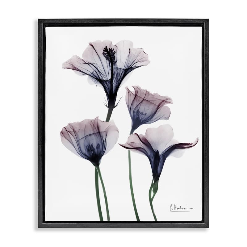 Stupell Bountiful Dusk Flowers Framed Floater Canvas Wall Art Design By Albert Koetsier - 25 x 31 - Black