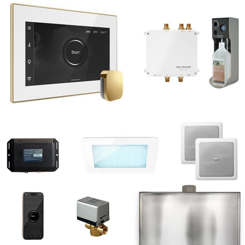 Mr Steam BLS1 Bliss Package Steam Shower Control Package with Isteamx - White / Polished Brass