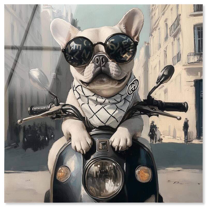 Frenchie on a Scooter Drive Acrylic by Art Remedy, Ready to Hang - 12" x 12"
