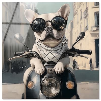 Frenchie on a Scooter Drive Acrylic by Art Remedy, Ready to Hang