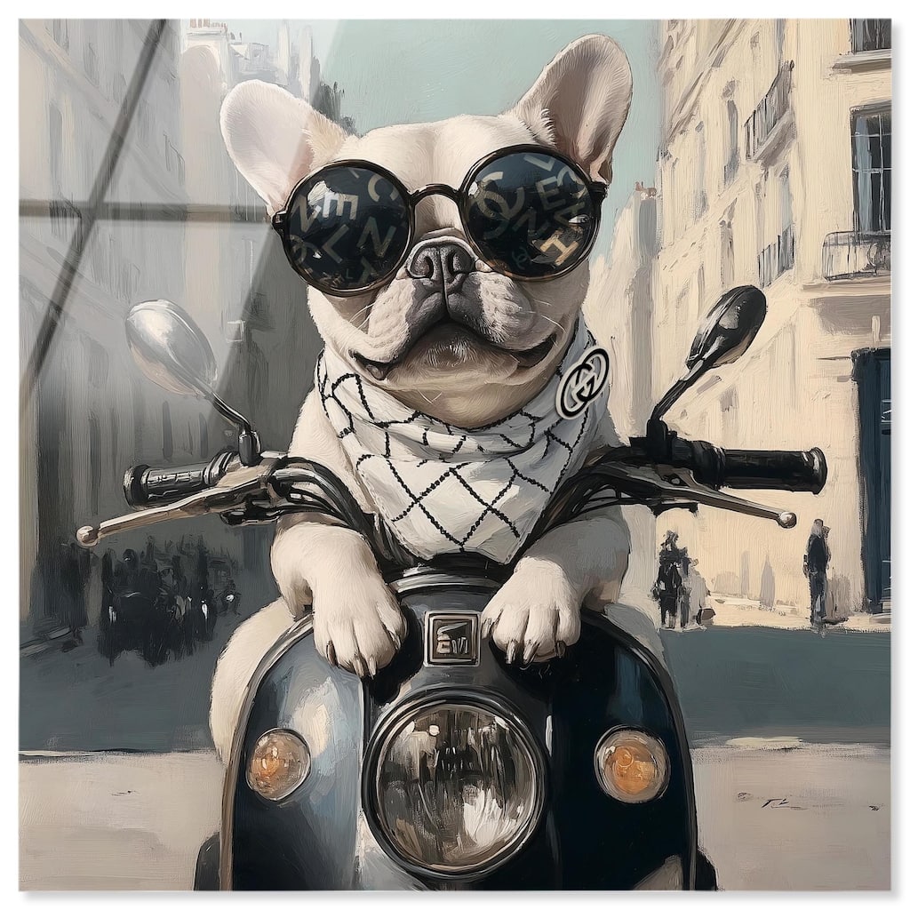 Frenchie on a Scooter Drive Acrylic by Art Remedy, Ready to Hang