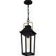 preview thumbnail 4 of 6, Buckley 1-Light Matte Black Outdoor Hanging Lantern