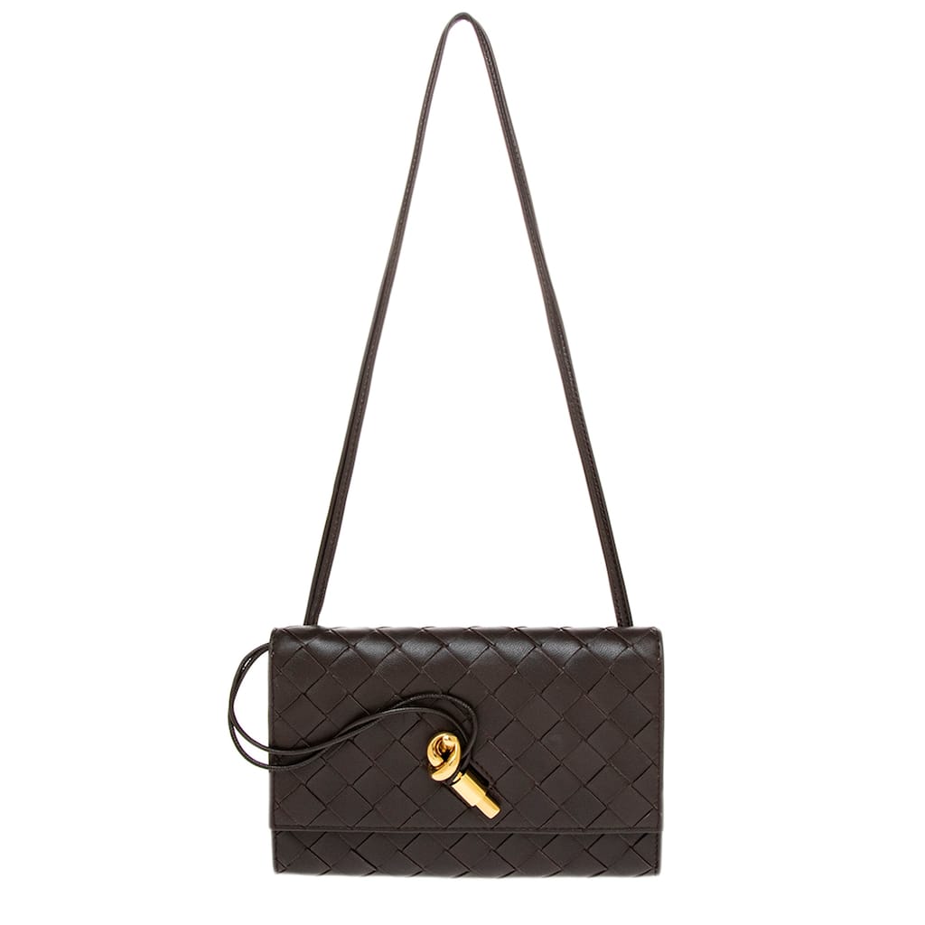 Bottega Veneta Andiamo Pouch