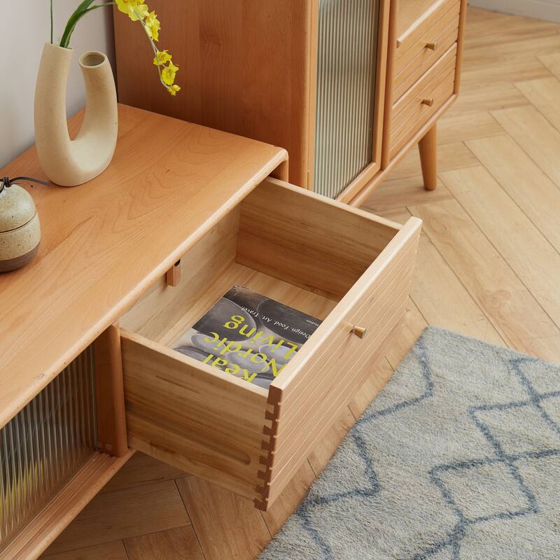 Modern TV Stand with Storage