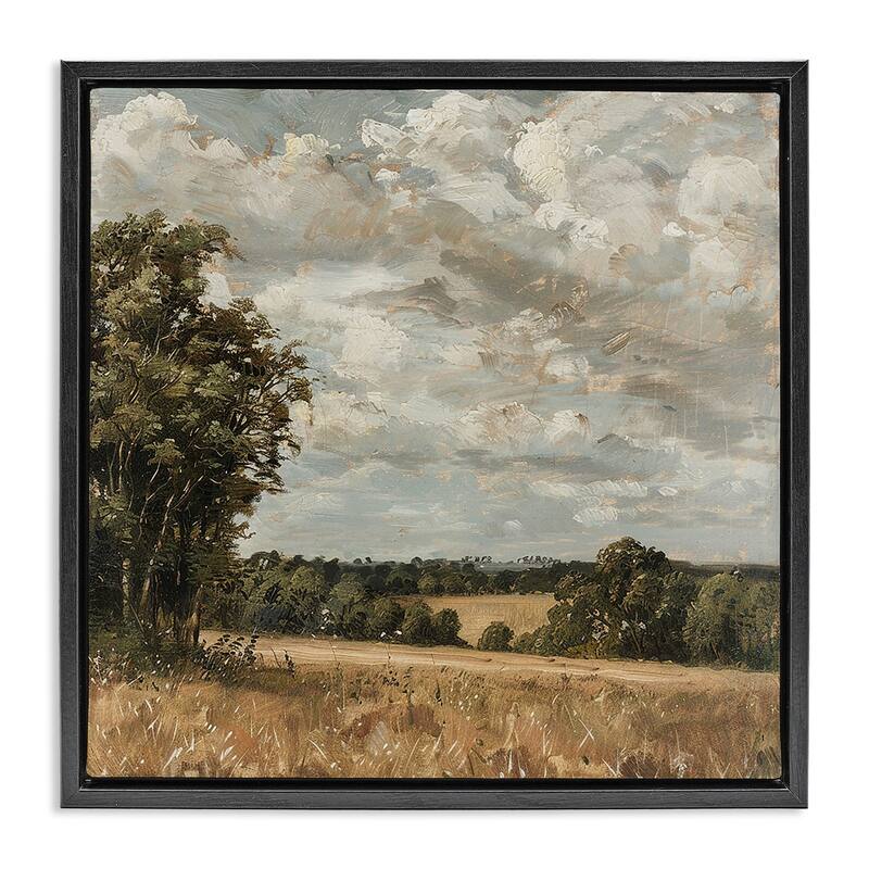 Stupell Clouds Over Country Scenery Framed Floater Canvas Wall Art Design By LSR Creative Studio - 18 x 18 - Black