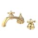 Option Polished Brass