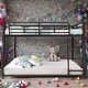 preview thumbnail 1 of 7, Modern Stylish Kids Furniture Metal Floor Bunk Bed with Sloping Stairs Full XL over Queen Kids Bed, Black Black