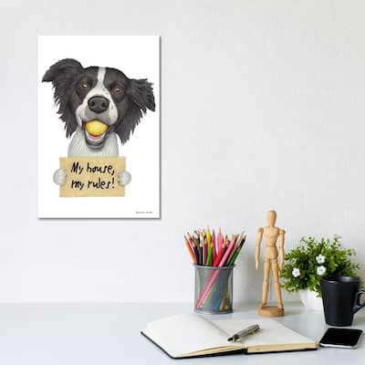 iCanvas "Border Collie" by Danny Gordon Canvas Print