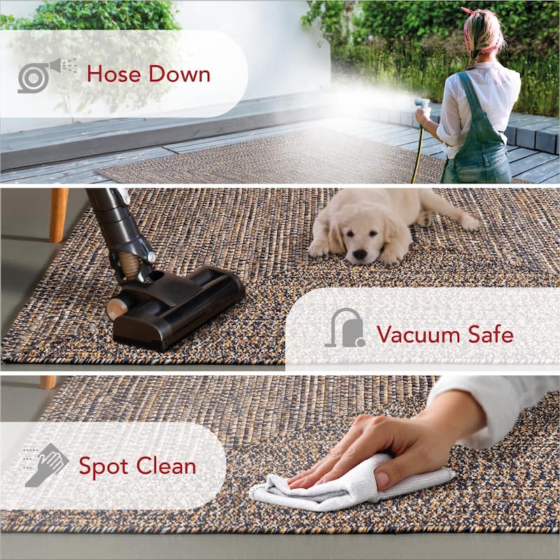 Nuloom Wynn Braided Indoor/Outdoor Area Rug