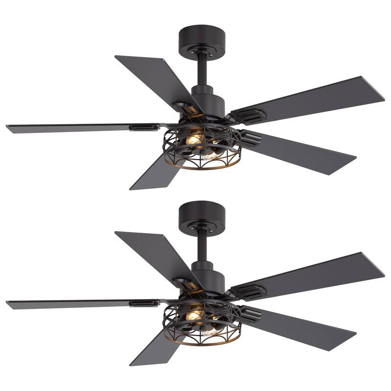 42" Reversible 5-Blade Caged Ceiling Fan with Light and Remote