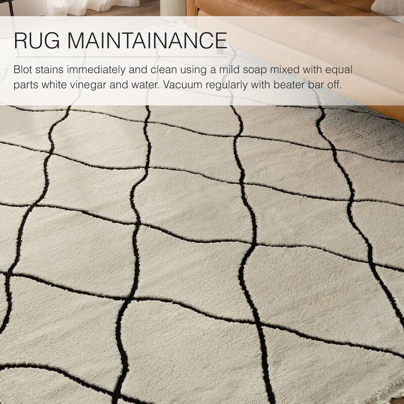 Treble Trellis Ivory/ Black Area Rug.