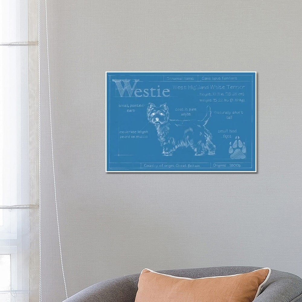 iCanvas "Blueprint Of A Westie" by Ethan Harper Canvas Print