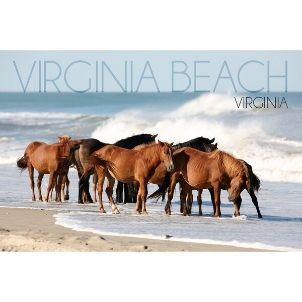 Virginia Beach Virginia Horses On Beach Lantern Press Photography Art Print Multiple Sizes Available 9 X 12 Art Print