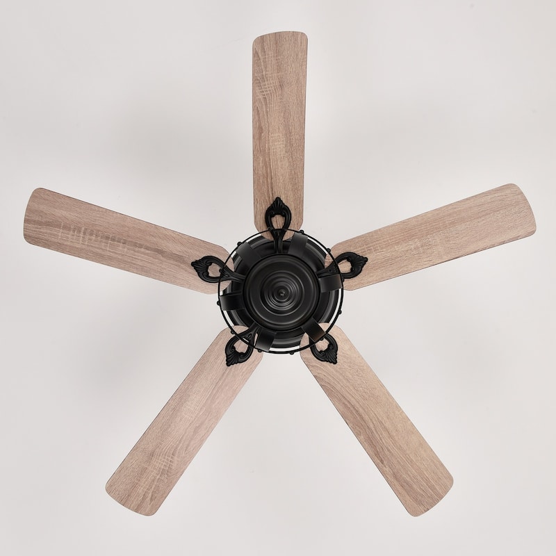 52" Indoor Black Caged Ceiling Fan with Light Kit and Remote