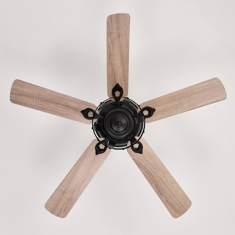 52 in. Indoor Black Caged Ceiling Fan with Light Kit and Remote