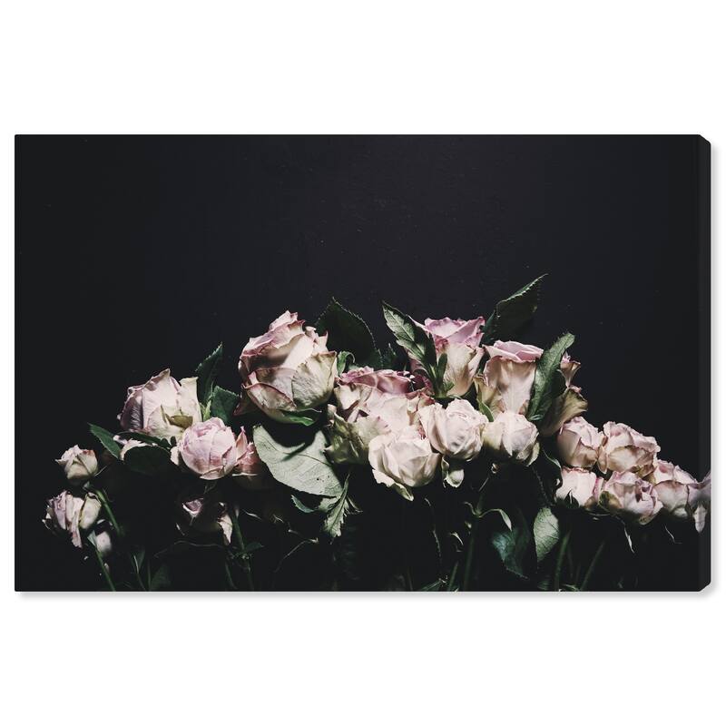 Wynwood Studio Canvas Floral and Botanical Give Roses Black and Light Pink Modern & Contemporary Wall Art Canvas Print