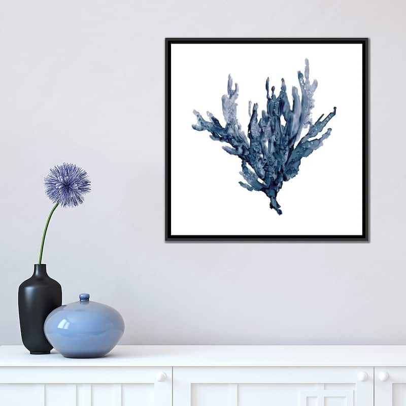 iCanvas "Sea Coral I" by Carol Robinson Framed Canvas Print