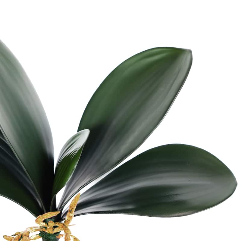 Set of 3 Artificial Phalaenopsis Orchid Leaf Plant Greenery Foliage Spray Branch with Roots 9in - 7" L x 9" W x 2.5" DP