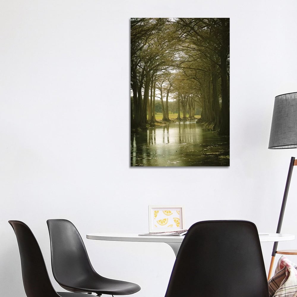 iCanvas "Texas Hill Country" by Ann Hudec Canvas Print