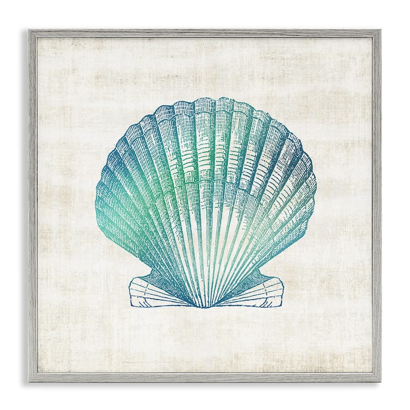 Stupell Gradient Clam Seashell Framed Giclee Art Design By Susan Arnot - 24 x 24 - Grey