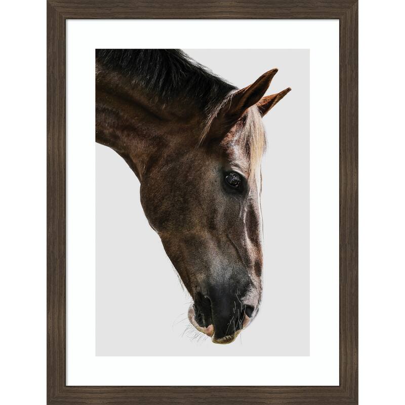 Majestic Equine Gaze by Shot by Clint Wood Framed Wall Art Print