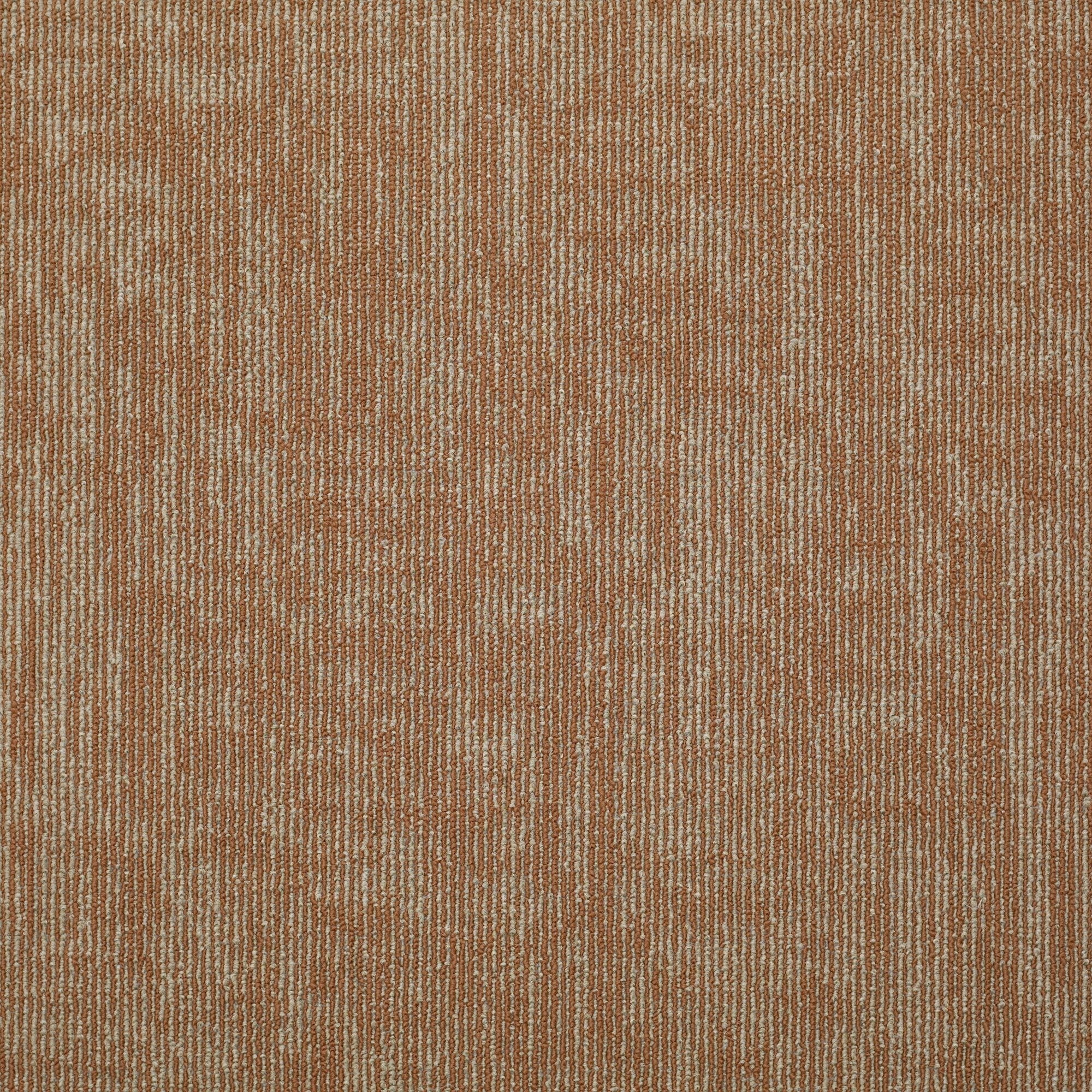 Shaw Philadelphia Commercial Carbon Copy 24" x 24" Glue Down Carpet