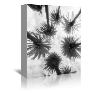 Americanflat - 8" x 10" Hr Amongst The Palms by Jim Dratfield Wrapped ...