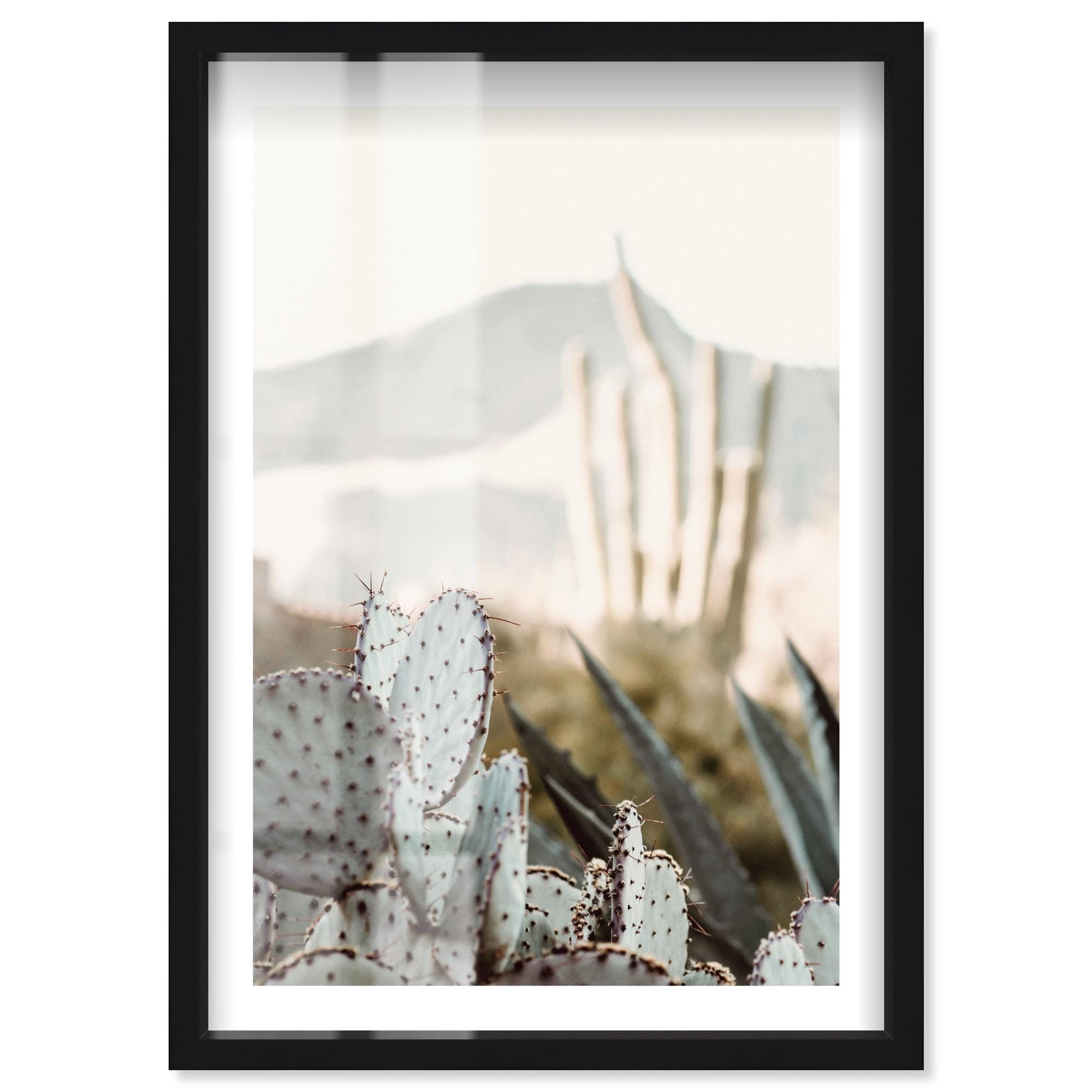 Sage Spikes Desert Wall Decor Shadowbox Print by Notoriart
