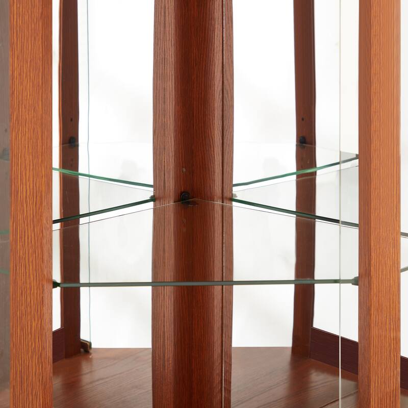 Corner Display Cabinet, Antique Collection with Glass Door, Shelves & Light