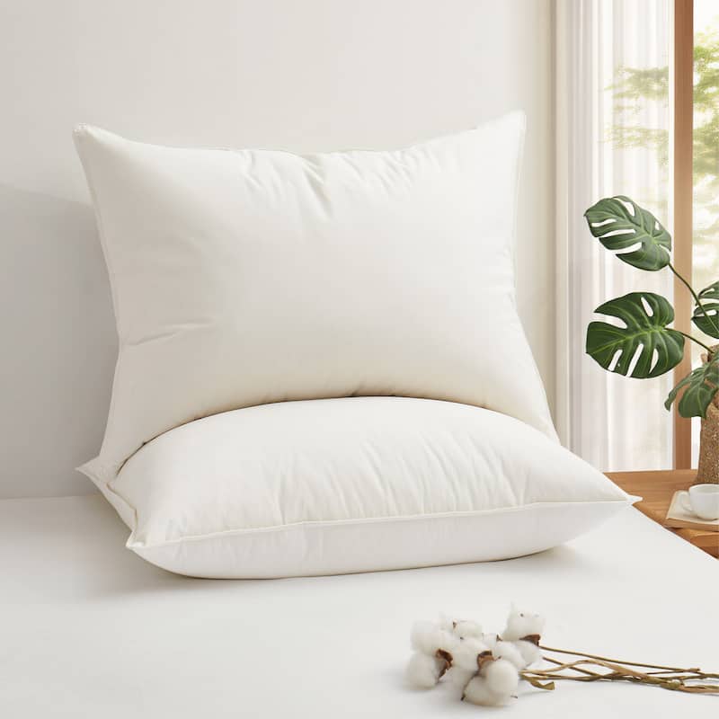 Set of 2 Down Feather Pillow-in-a-pillow Bed Pillows with 100% Organic Cotton Cover - Off-White - Standard