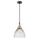 Option Clear Halophane Shade / Black Antique Brass
