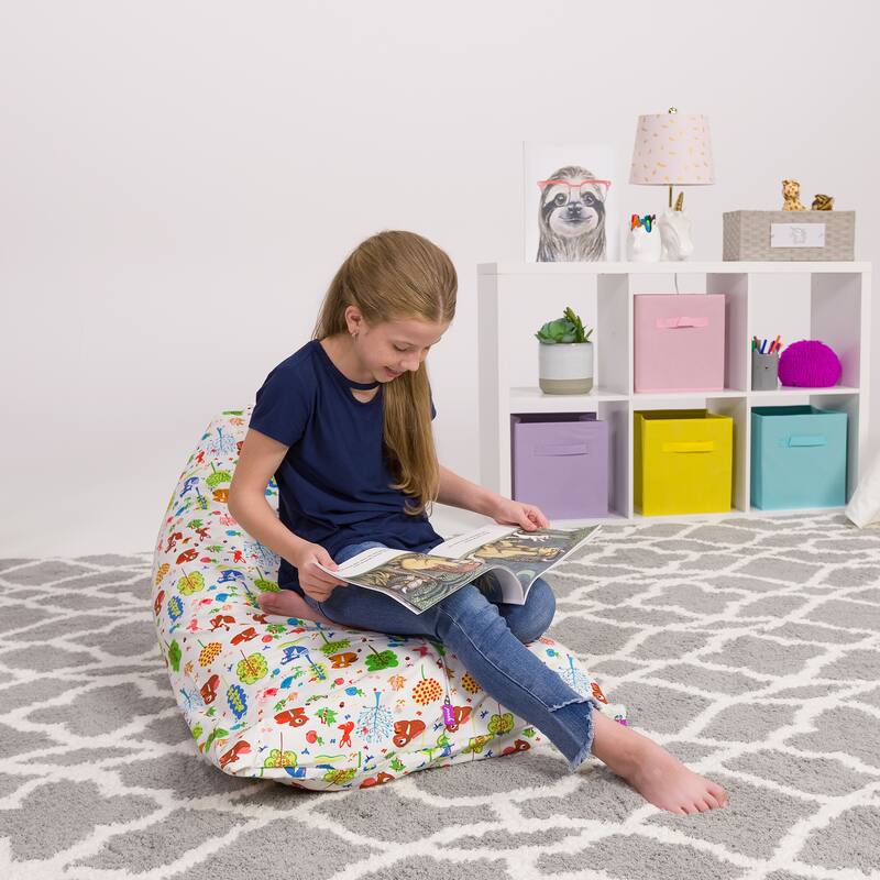 Stuffie Animal Storage Bean Bag Chair Cover, Room Organizer