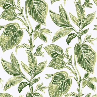 Green Caryota Peel & Stick Wallpaper - 216 x 20.5 x 0.025