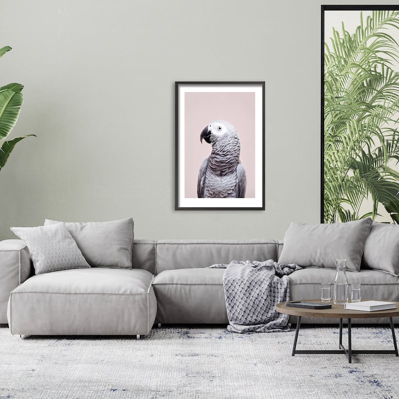 "African Grey" Framed Print Wall Art by Kathrin Pienaar
