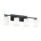 preview thumbnail 14 of 14, AFX Leo Vanity Light - Clear Glass Shade Black - 31"