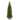 14 ft. Kingswood Fir Pencil Tree