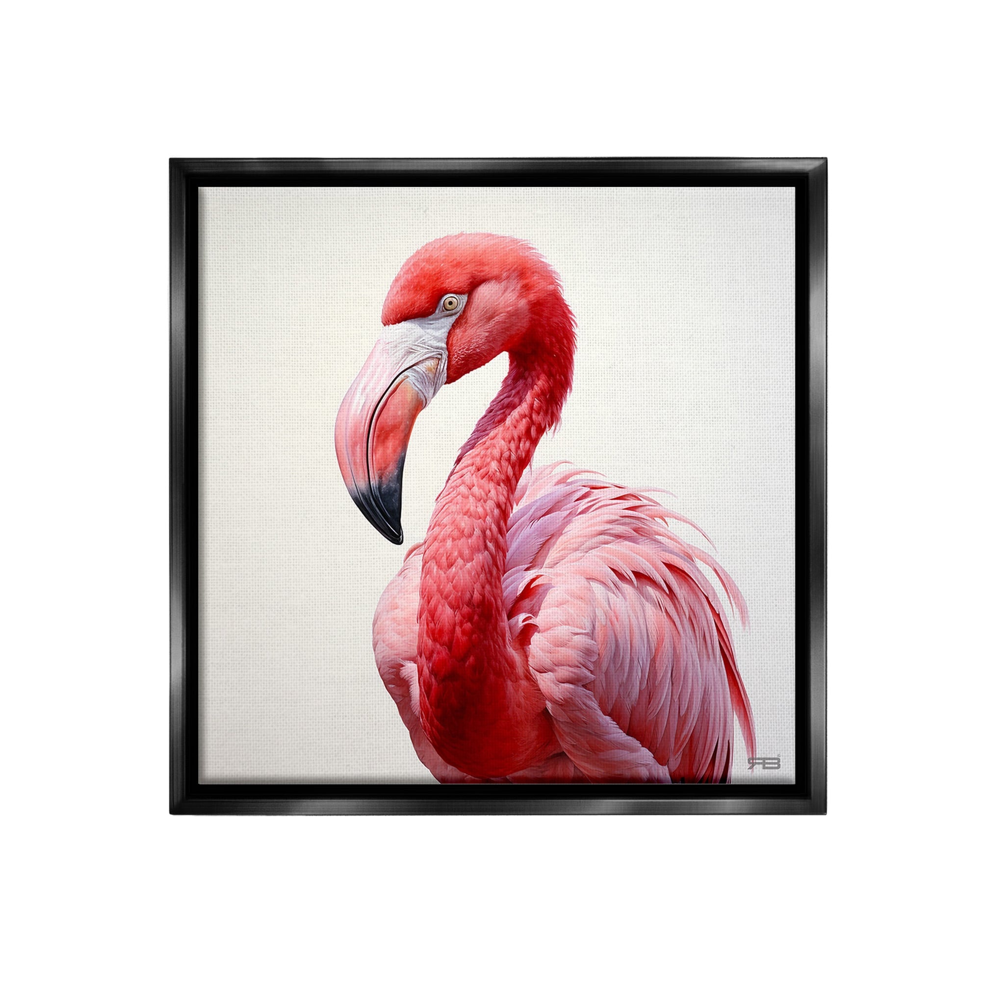 Stupell Traditional Flamingo Portrait Framed Floater Canvas Wall Art Design By RB