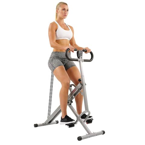 Sunny Health Fitness Squat Assist Row-N-Ride Trainer