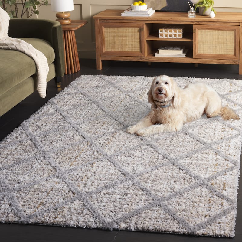 SAFAVIEH Everett Shag Ljubomira 1-inch Thick Rug