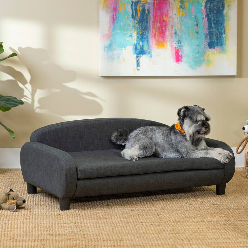 Paws & Purrs Modern Pet Sofa Bed Low-Back Lounger for Dogs & Cats – Removable Washable Mattress Cover