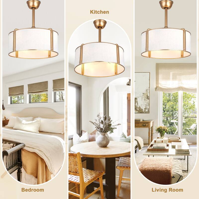 Bella Depot 19" Modern Caged Ceiling Fan with Light Kit and Remote Control 6-Speed Reversible DC Motor - 19”