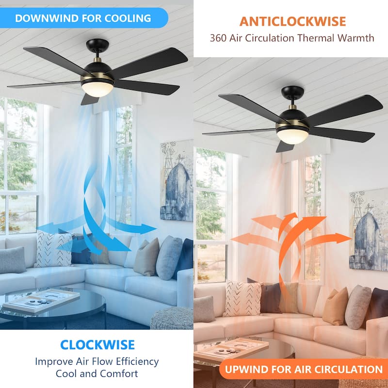 52" Barbeque Black 5-Blade Lighted Acrylic Globe Shade Ceiling Fan with Remote - 52 in. D x 52 in. W x 15.5 in. H