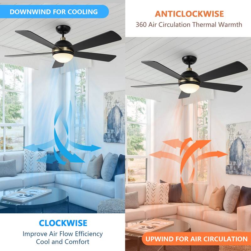 52-in Barbeque Black 5-Blade Lighted Acrylic Globe Shade Ceiling Fan with Remote - 52 in. D x 52 in. W x 15.5 in. H