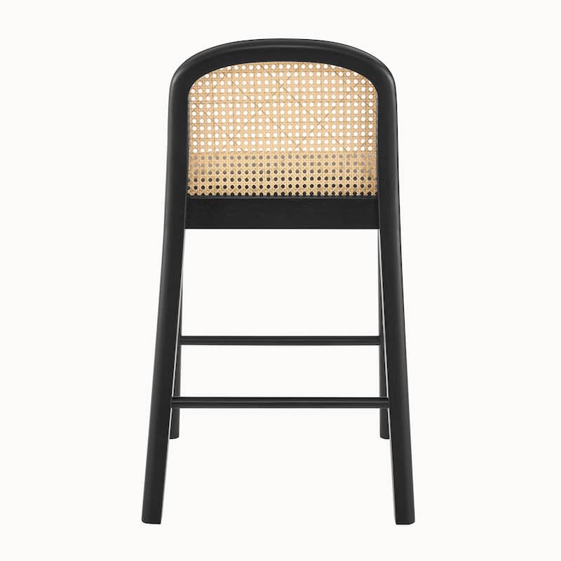 NPD Furniture Donna Faux Leather Rattan Counter Stool (Set of 2)