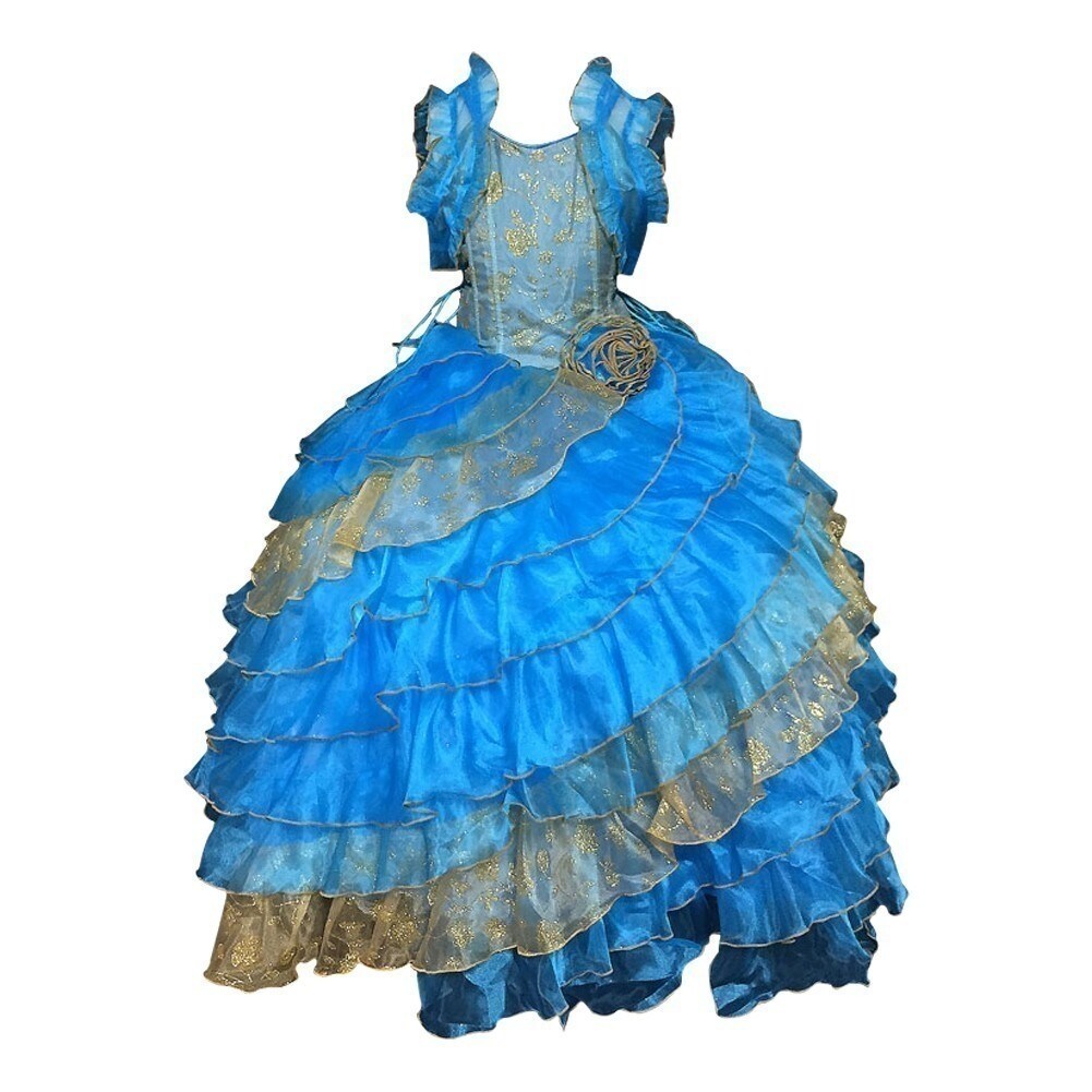 2t pageant dress