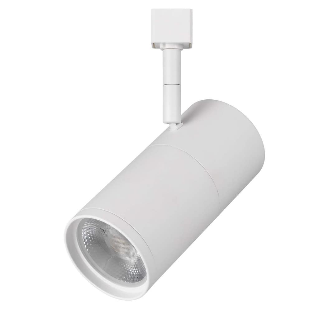 H type 9.375" Height White Metal Led Track head - Large