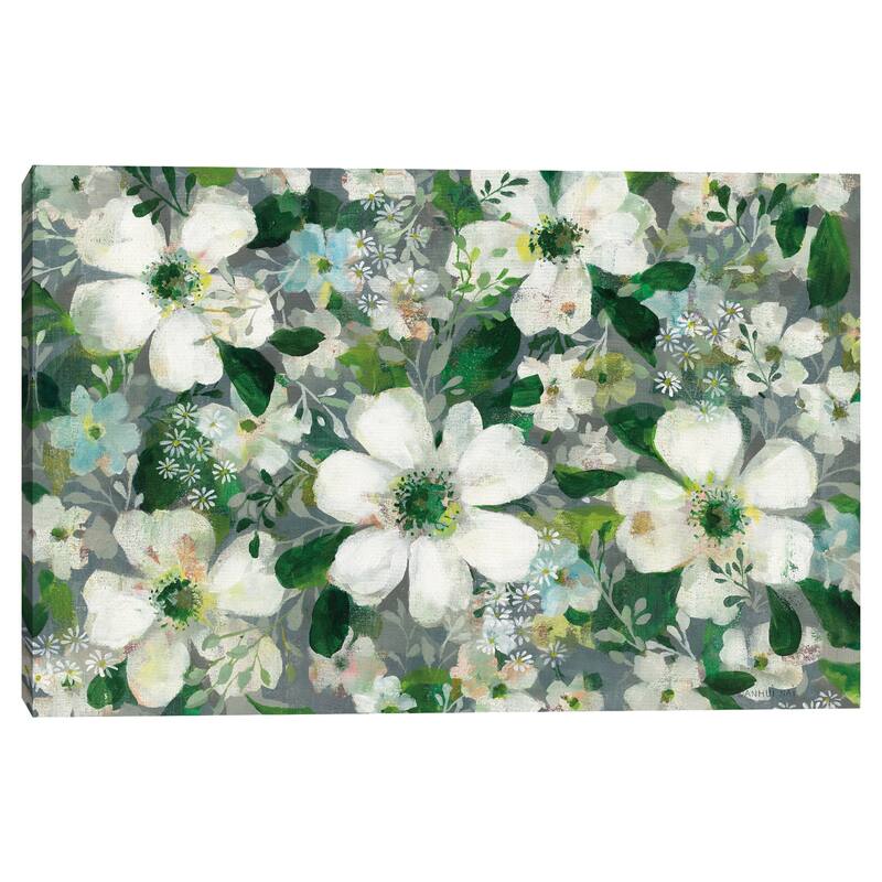 Anemones and Friends by Danhui Nai Canvas Art Print