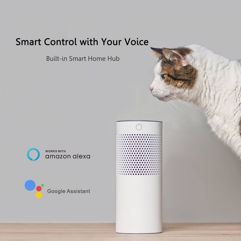 CARRO Smart Ceiling Fan Wall Switch (1 Gang), Works with Alexa, Google Home and Siri (Capable of controlling AC ceiling fans)