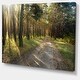 Road Through Green Pine Forest - Landscape Photo Canvas Print - Bed ...