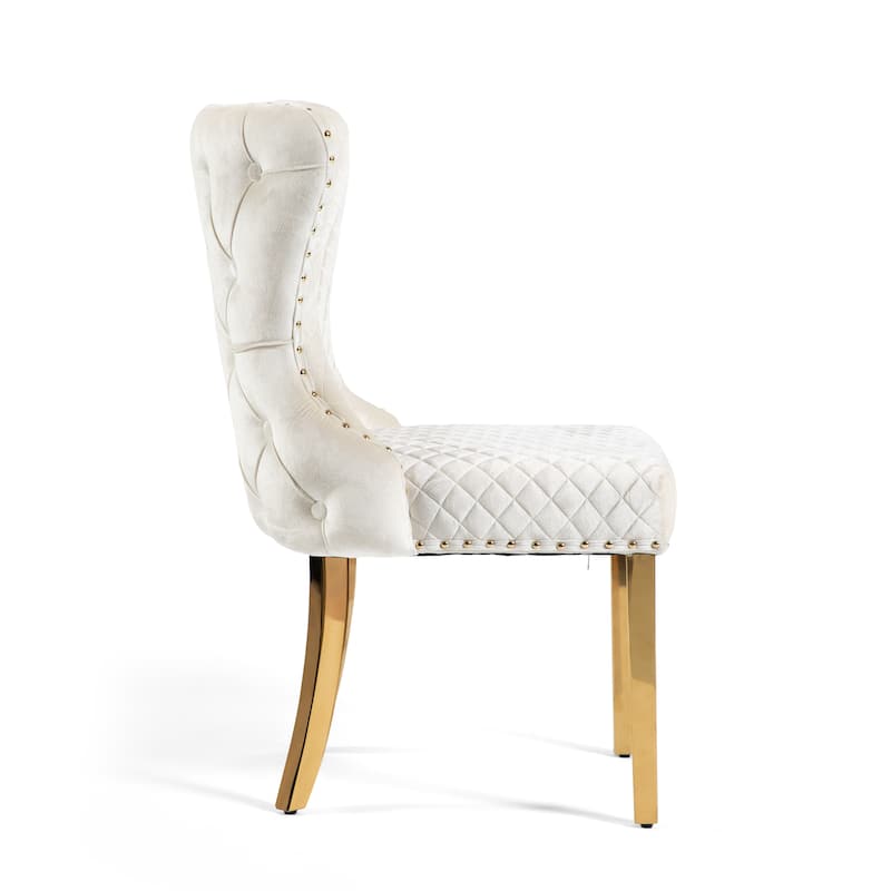 Furniture of America Thaddeus Glam Fabric Dining Chair with Nailhead Trim (Set of 2)